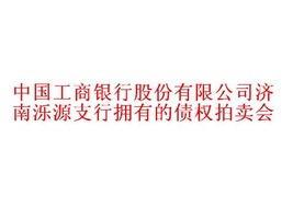 二手中国工商银行股份有限公司济南泺源支行拥有的债权图片0